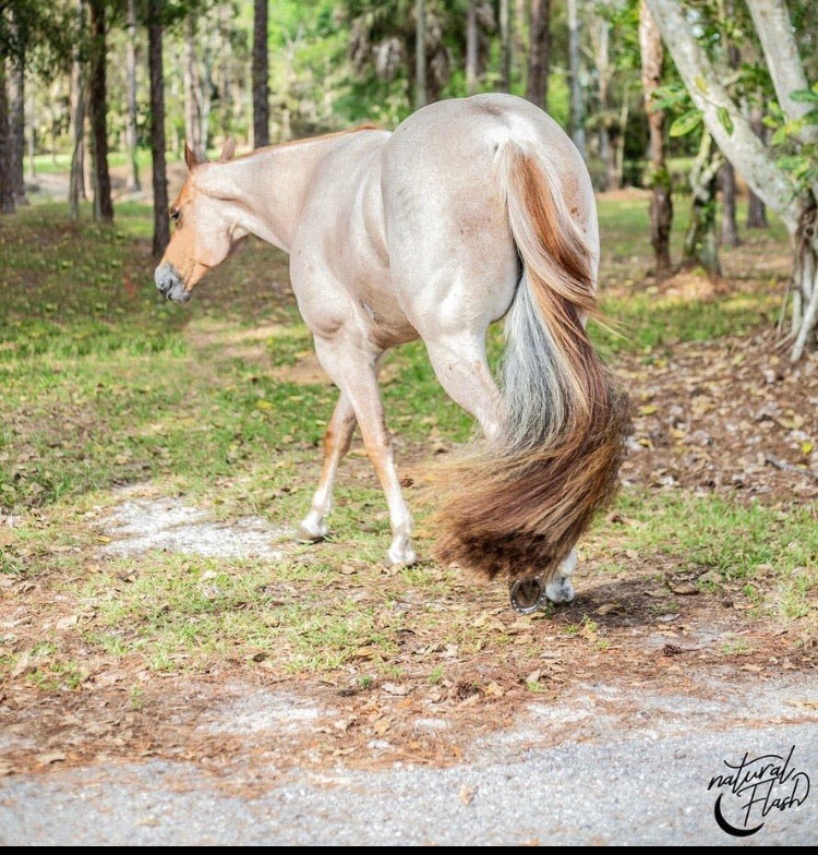 Flaxen - Mix Tails