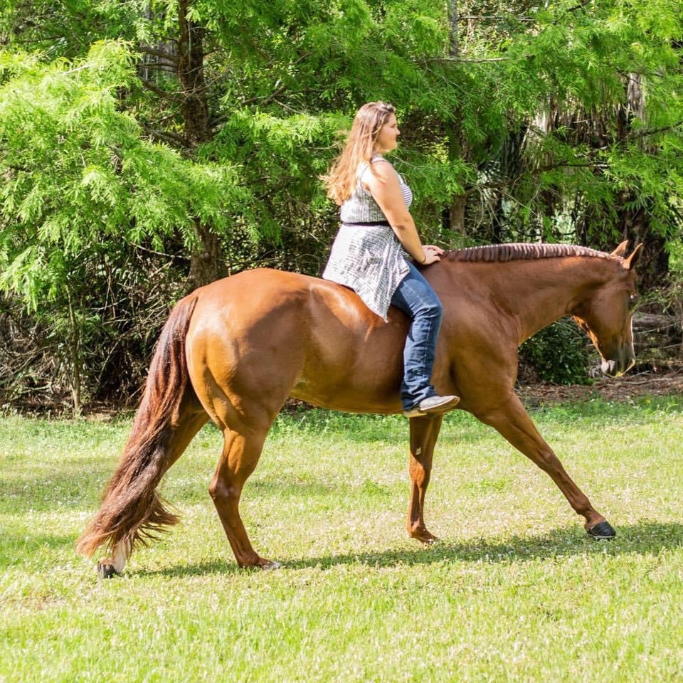 36" - 1lb. 100% Genuine Horse Hair Medium Sorrel Show Tail