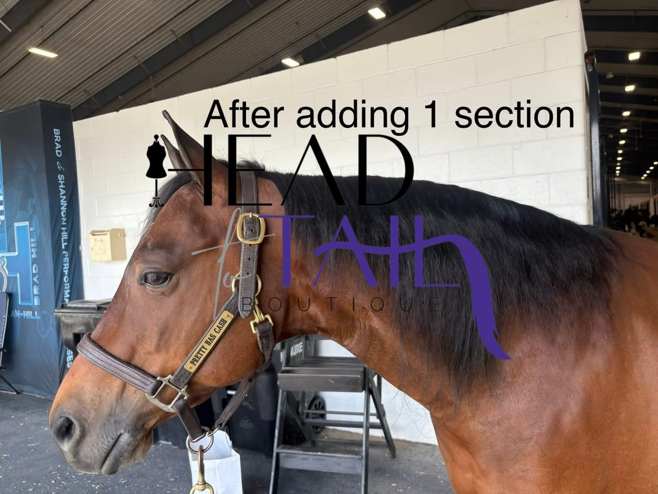 Mane Extensions - FREE Installation Kit Included