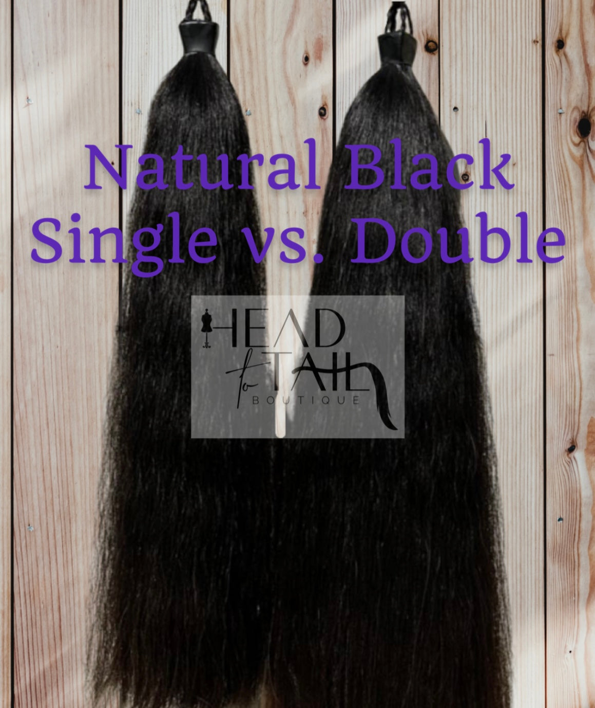 Black Sorrel/Chestnut