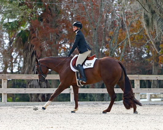 Dark Sorrel/Chestnut