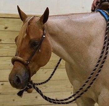 Forelock Extensions - Check out our NEW Pull Through option!