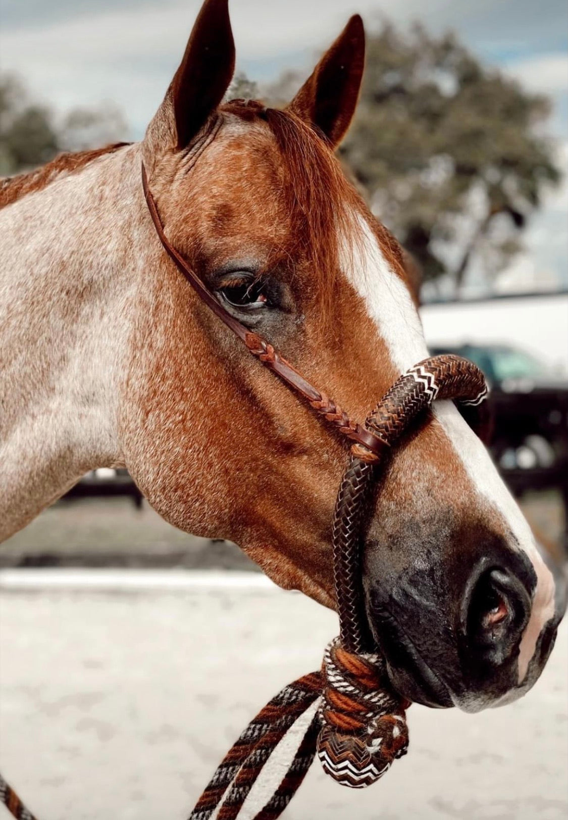 Forelock Extensions - Check out our NEW Pull Through option!