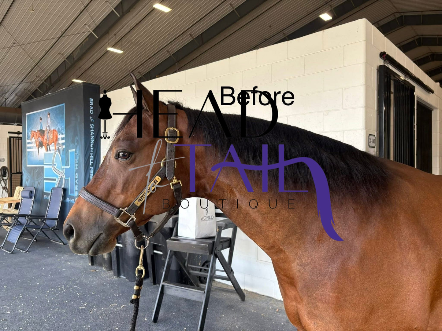 Mane Extensions - FREE Installation Kit Included