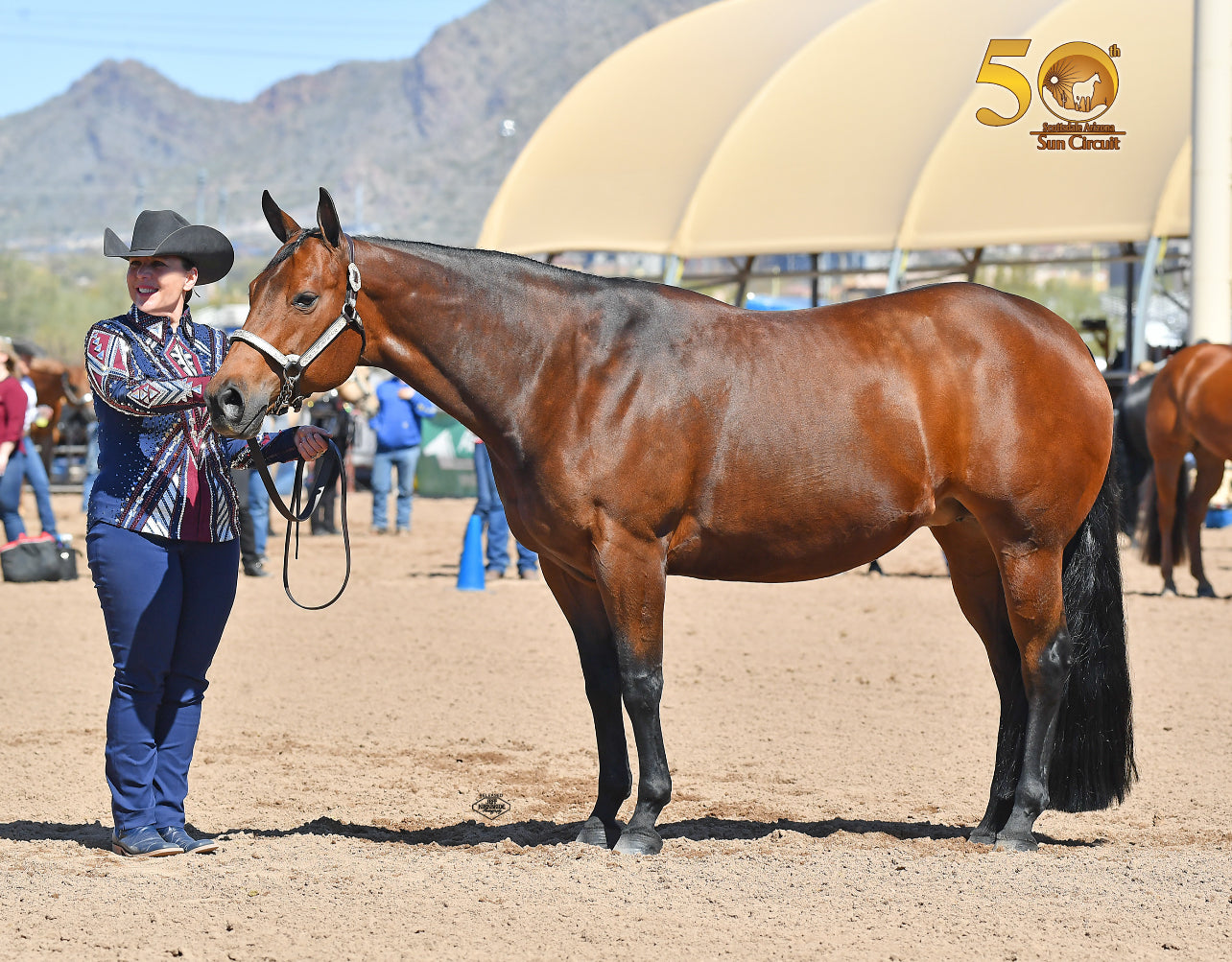 Kevin Garcia Originals Navy, Silver & Burgundy Showmanship Jacket - Apx 12/14