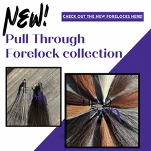 Load image into Gallery viewer, Forelock Extensions - Check out our NEW Pull Through option!
