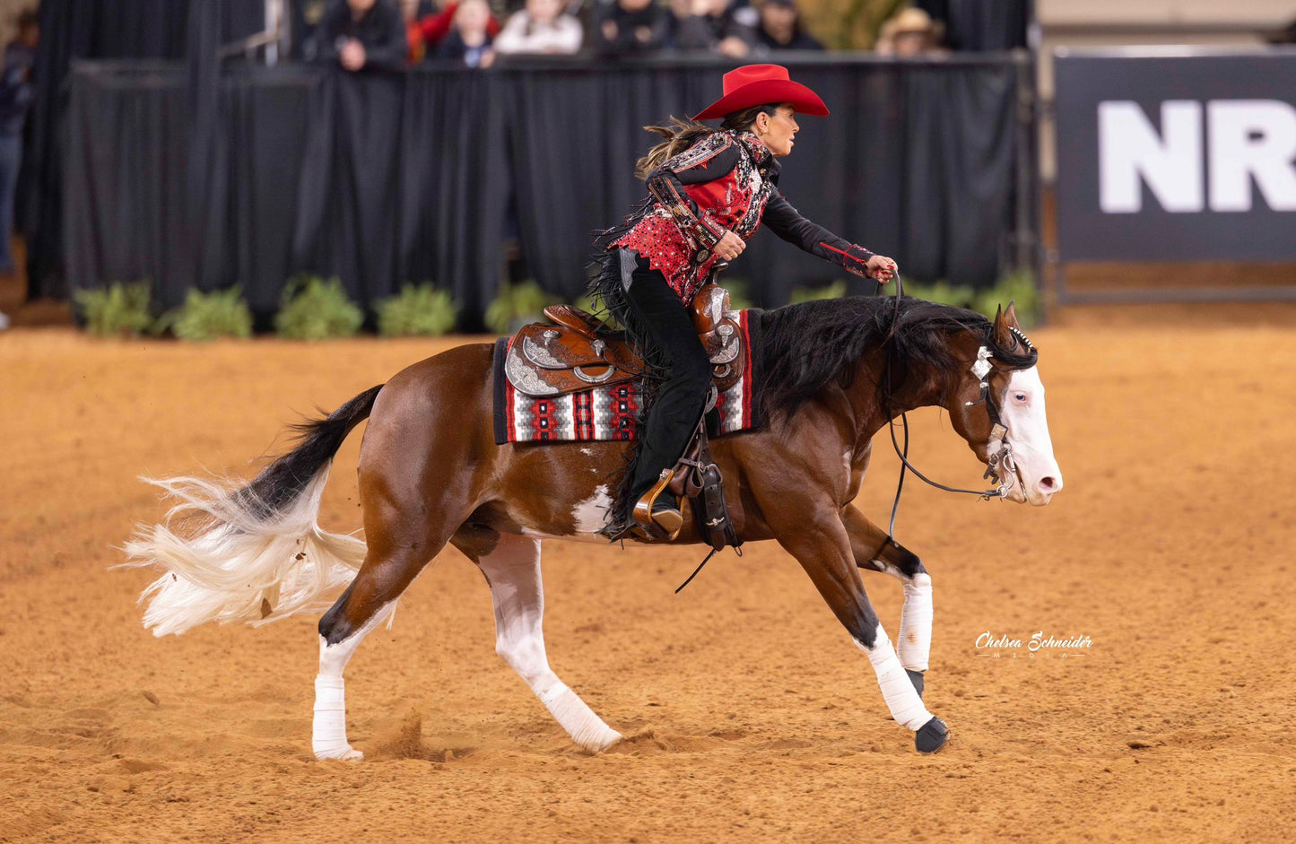 Mane Extensions - FREE Installation Kit Included
