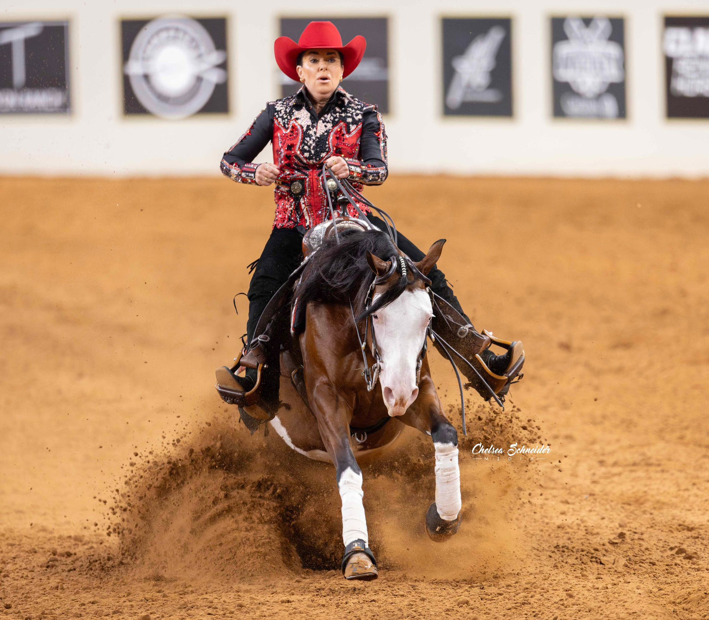 Mane Extensions - FREE Installation Kit Included